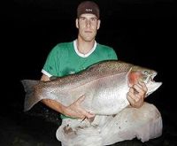 World Record Rainbow Trout - 43.6 lbs.