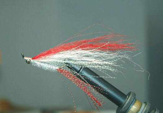 Artificial Fly for Lake Trout