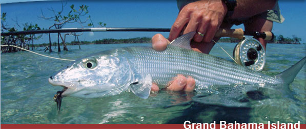 Bonefish caught in Grand Bahama